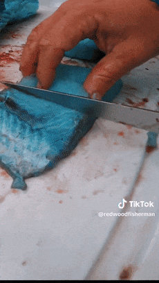 鱼肉竟然还有蓝色的 这是变异了？